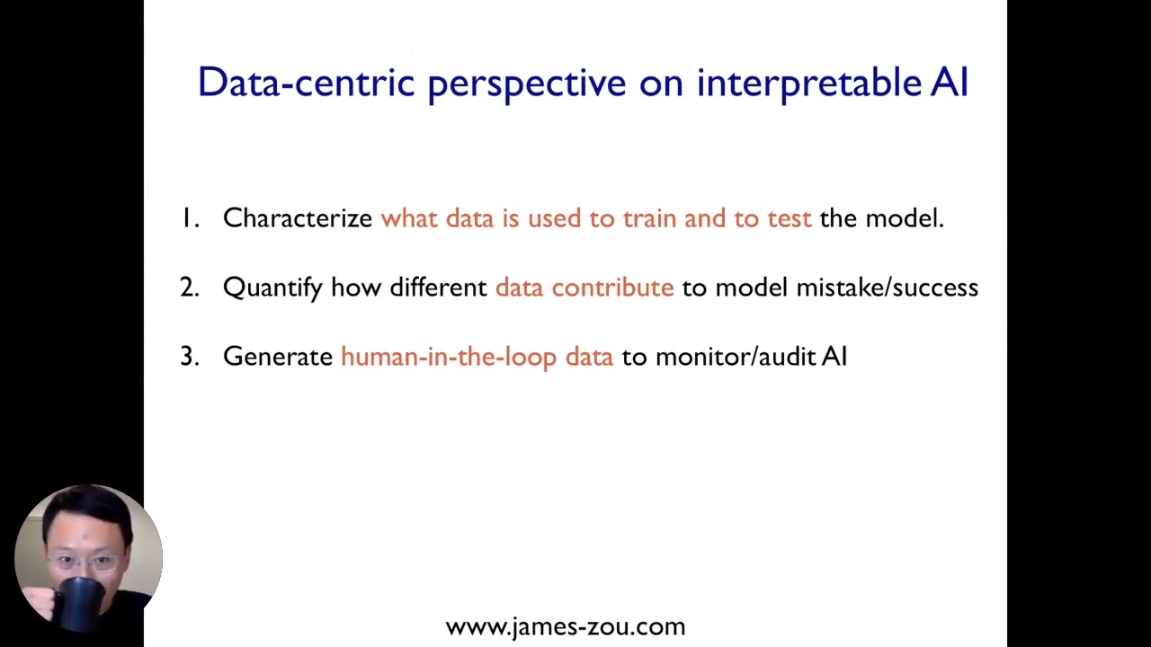Interpretable AI: data-centric perspectives