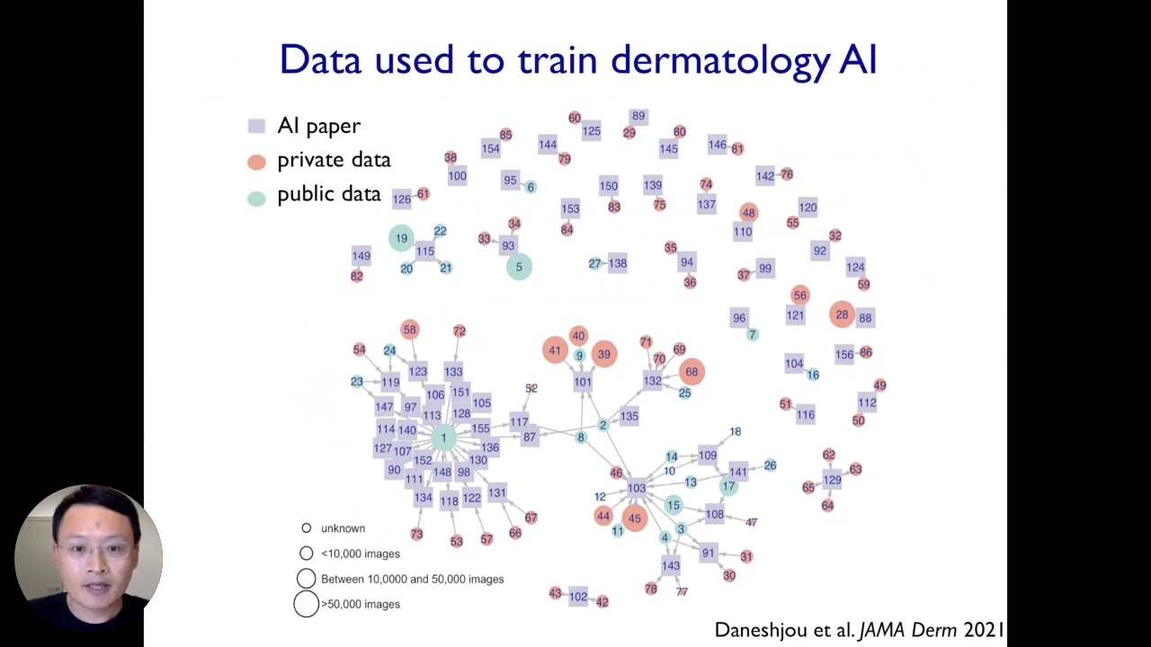 Interpretable AI: Data used to train dermatology AI